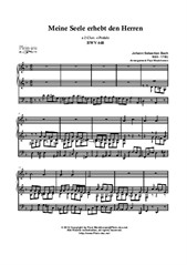 Choral-Prelude (Schuebler) 'Meine Seele preist' & 'Wo soll ich fliehen hin'